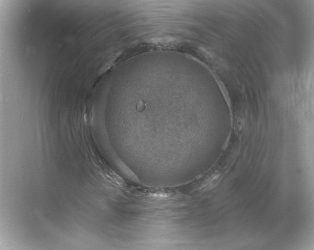 X0000071801010200607072046