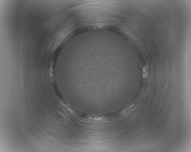 X0000071801011200607072046