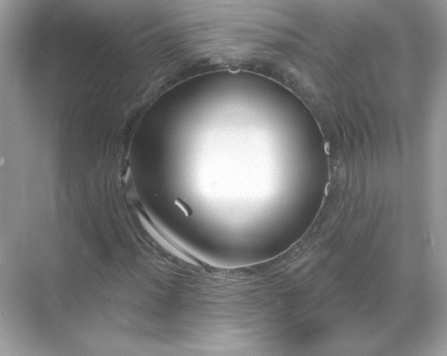 X0000071801012200607072046