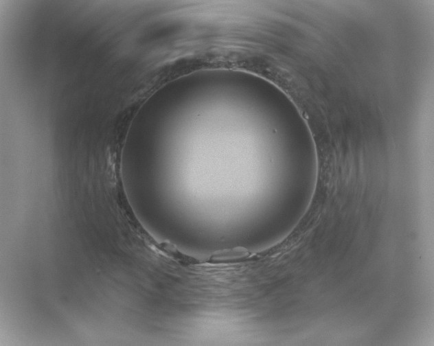 X0000071801013200607072046