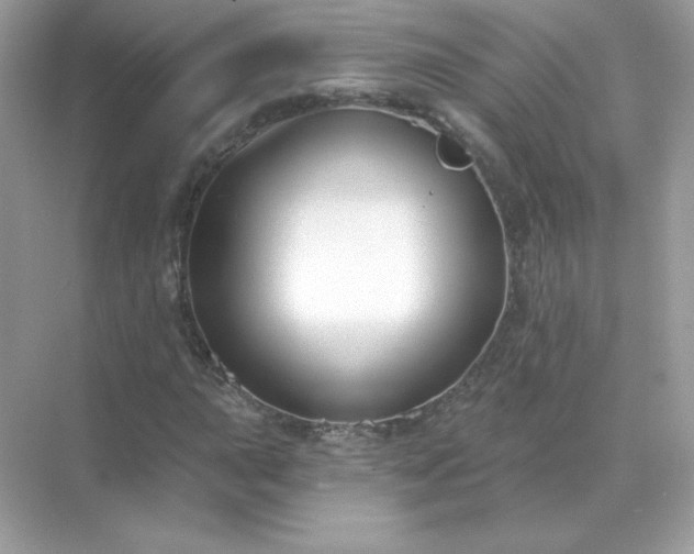 X0000071801015200607072046