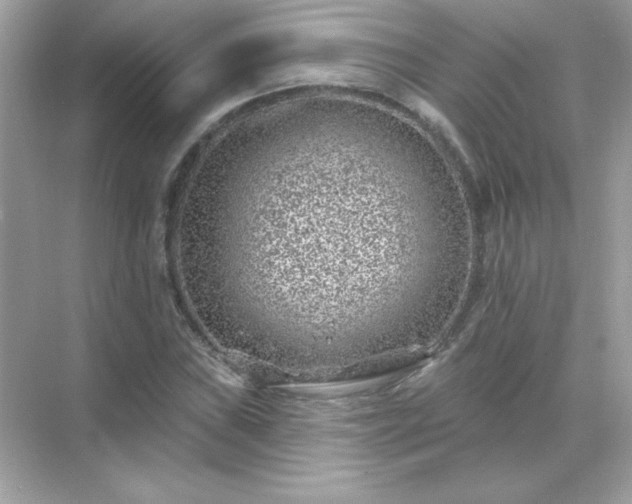 X0000071801019200607072046