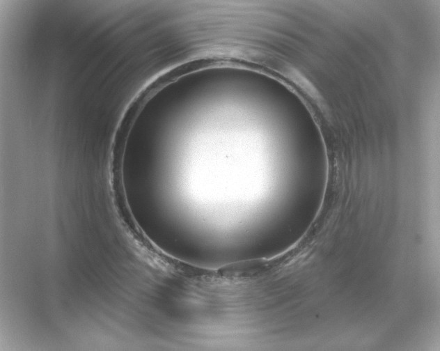 X0000071801020200607072046