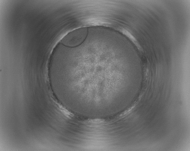 X0000071801023200607072046