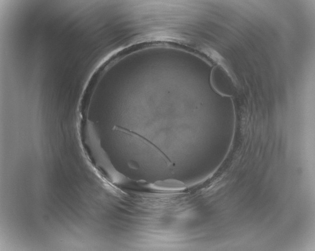 X0000071801024200607072046