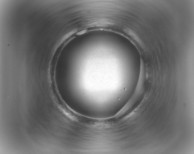 X0000071801026200607072046