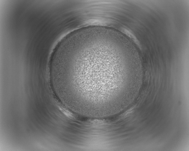 X0000071801027200607072046