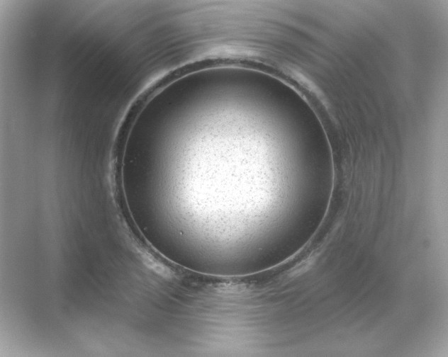 X0000071801029200607072046