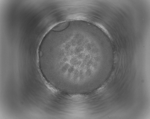 X0000071801031200607072046