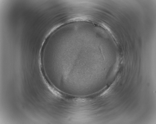 X0000071801034200607072046