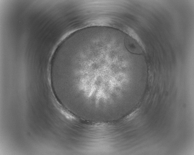 X0000071801035200607072046