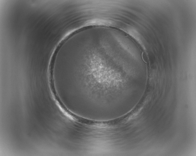 X0000071801037200607072046