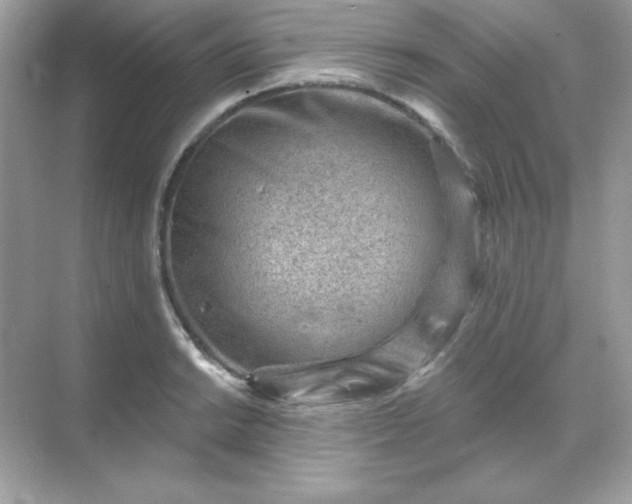 X0000071801038200607072046