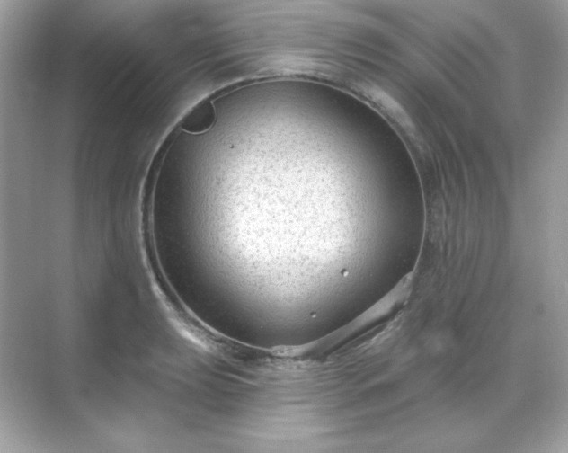 X0000071801039200607072046