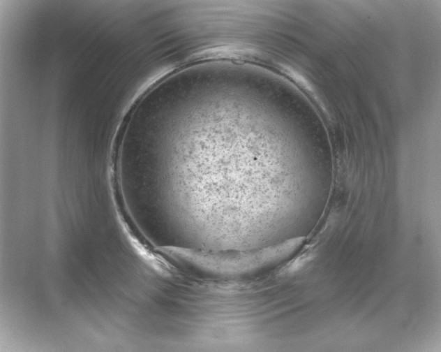 X0000071801042200607072046