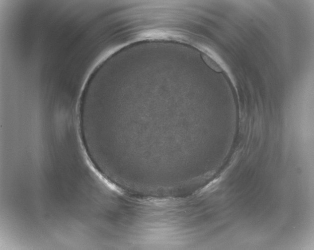 X0000071801045200607072046