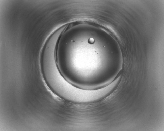 X0000071801046200607072046