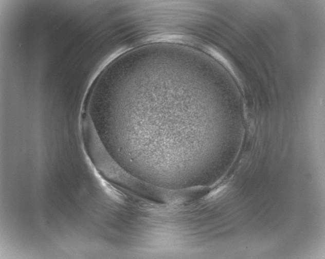 X0000071801050200607072046