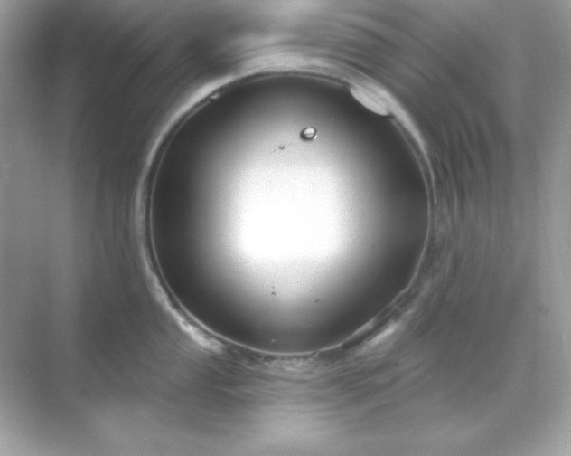 X0000071801053200607072046