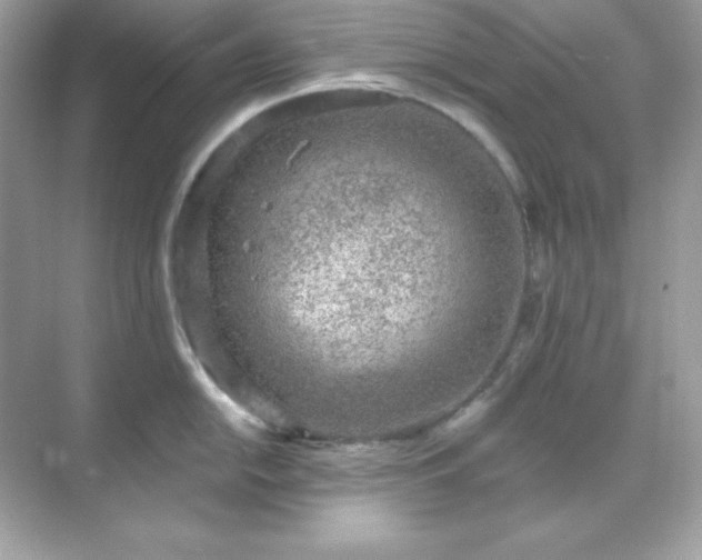 X0000071801054200607072047