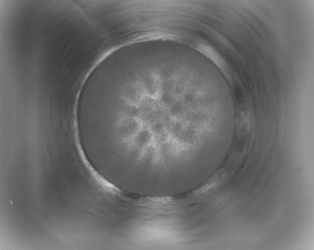 X0000071801055200607072047