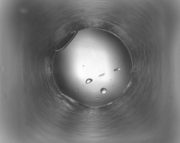 X0000071801058200607072046