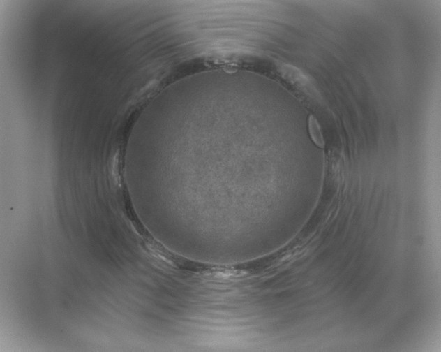 X0000071801060200607072046