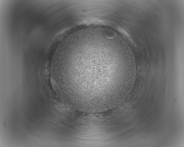 X0000071801063200607072046