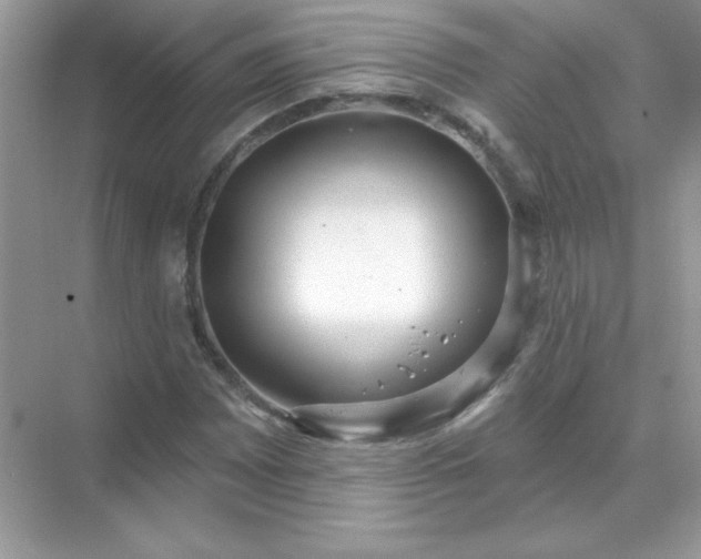 X0000071801065200607072046