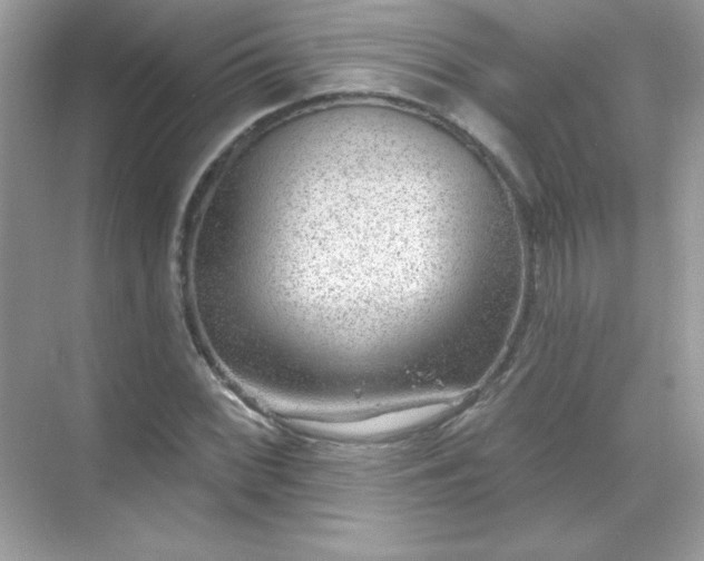 X0000071801068200607072046