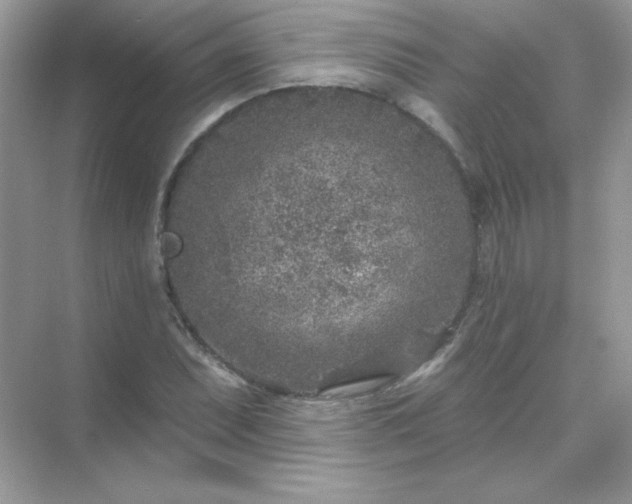 X0000071801071200607072046