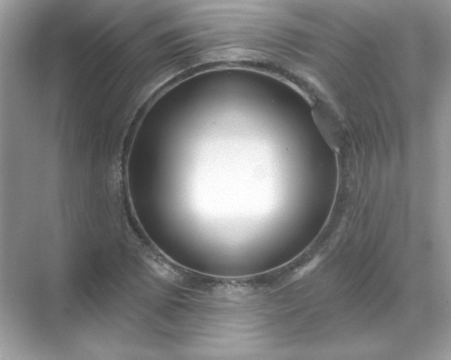 X0000071801073200607072045