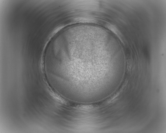 X0000071801074200607072045