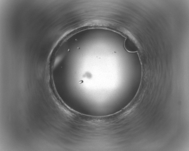 X0000071801075200607072045