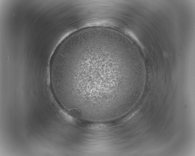 X0000071801079200607072045