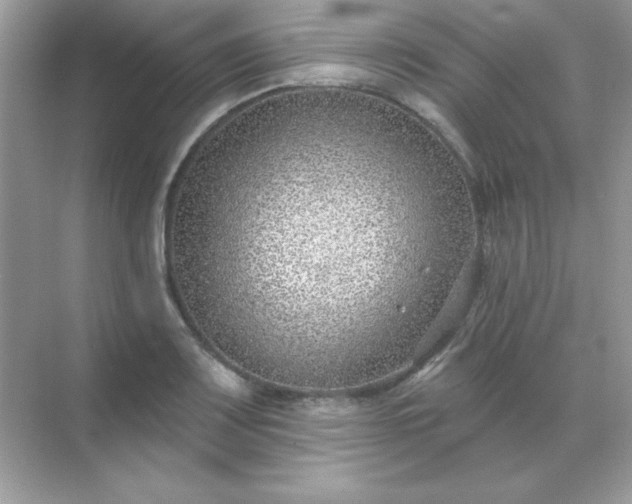 X0000071801083200607072045