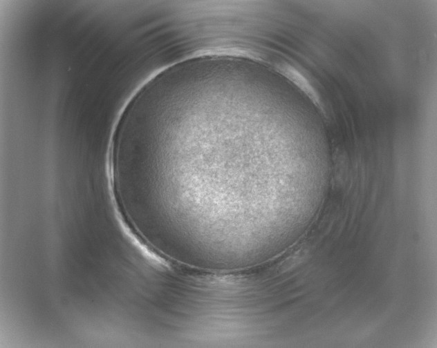 X0000071801084200607072045