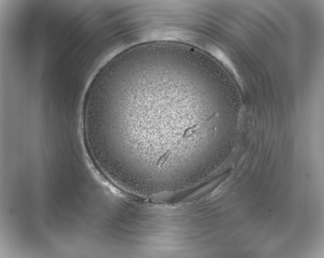 X0000071801088200607072045