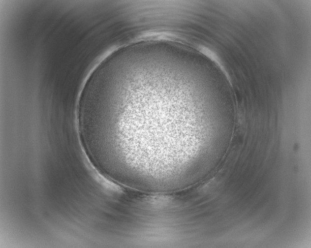 X0000071801090200607072045