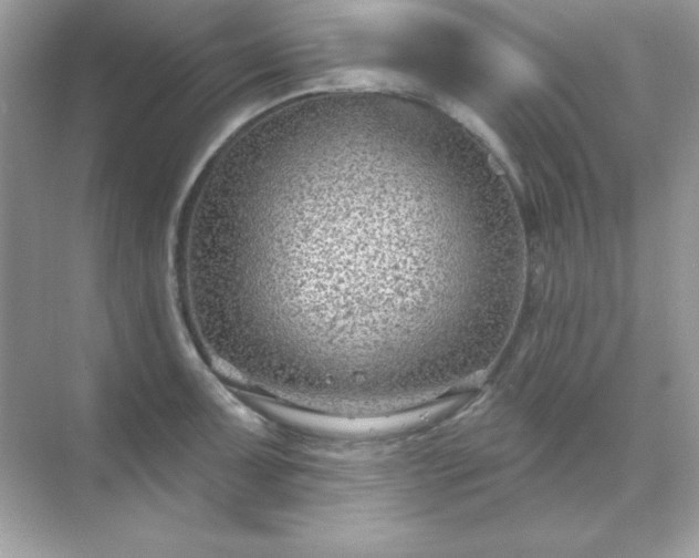 X0000071801091200607072045