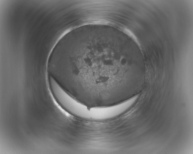 X0000071801095200607072045