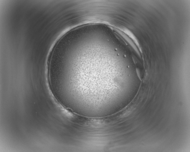 X0000071801096200607072045