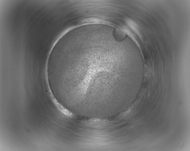 X0000071801098200607072045