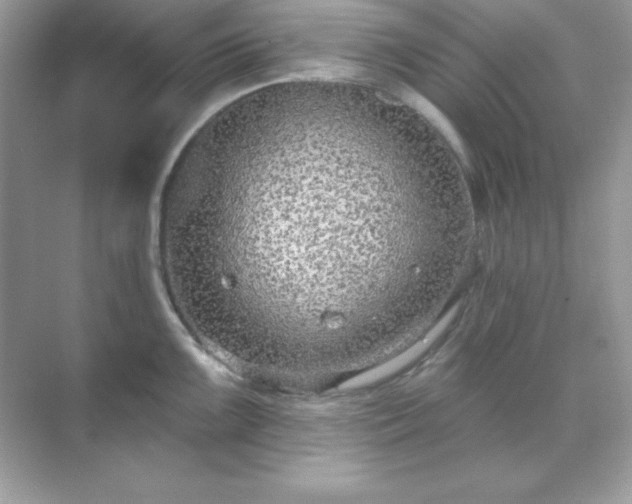 X0000071801099200607072045