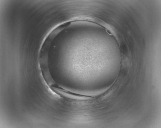 X0000071801102200607072045