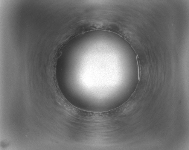 X0000071801105200607072044