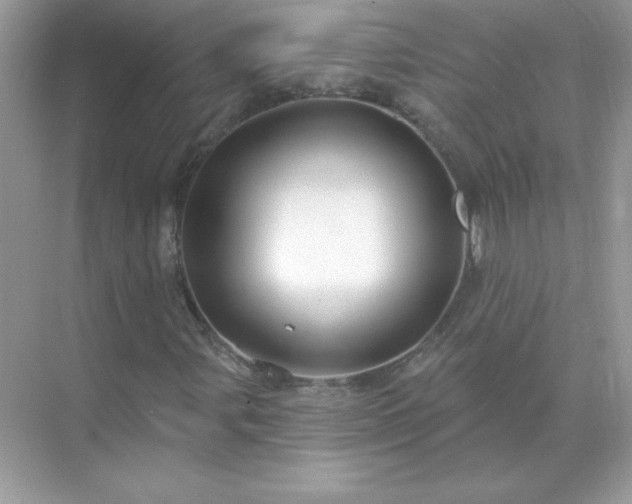 X0000071801107200607072044