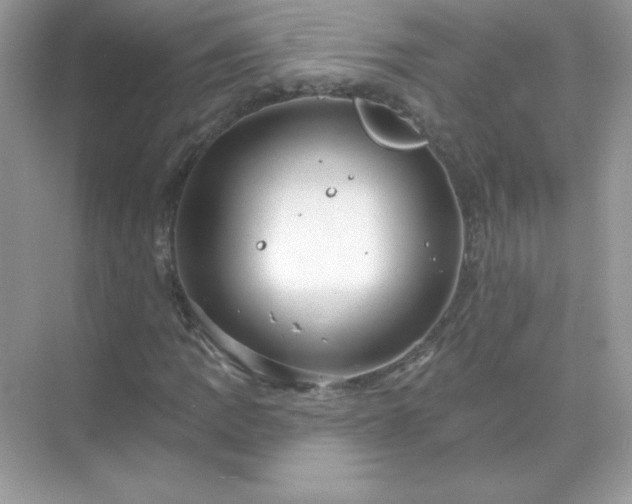 X0000071801109200607072044