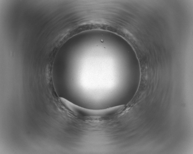 X0000071801110200607072044