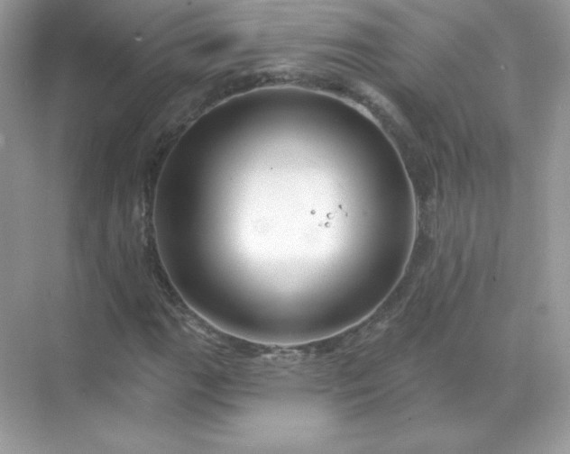 X0000071801111200607072044